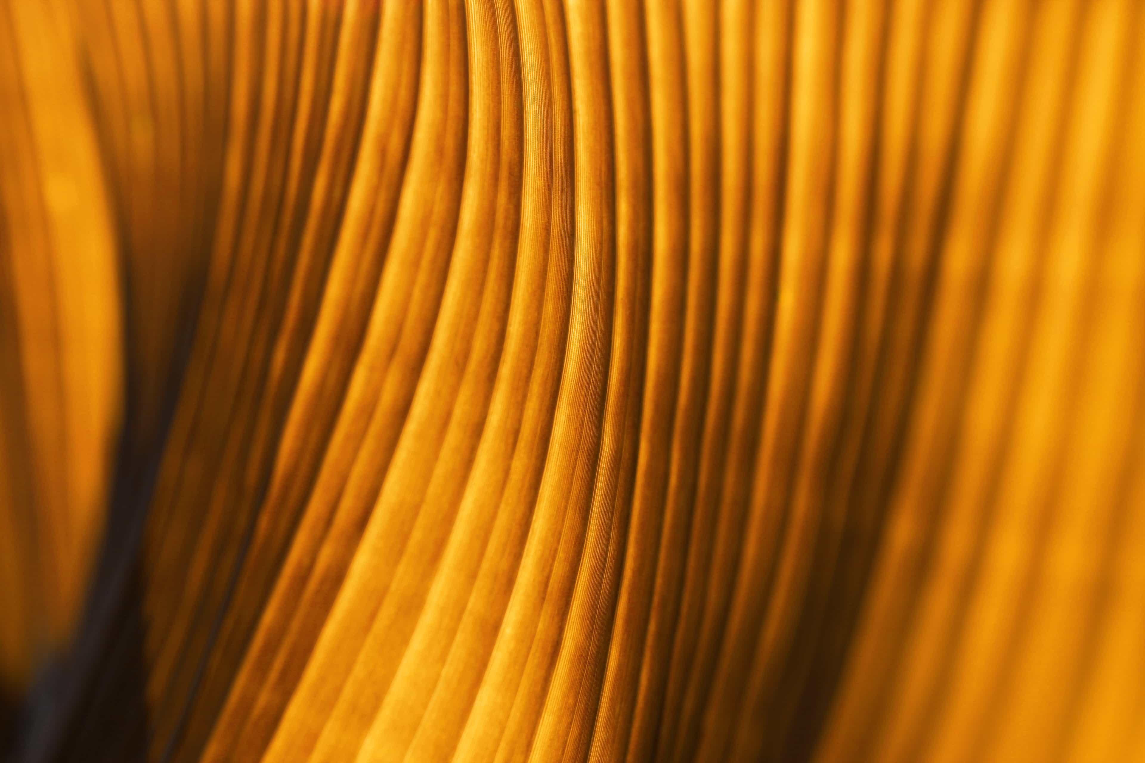 Hero background