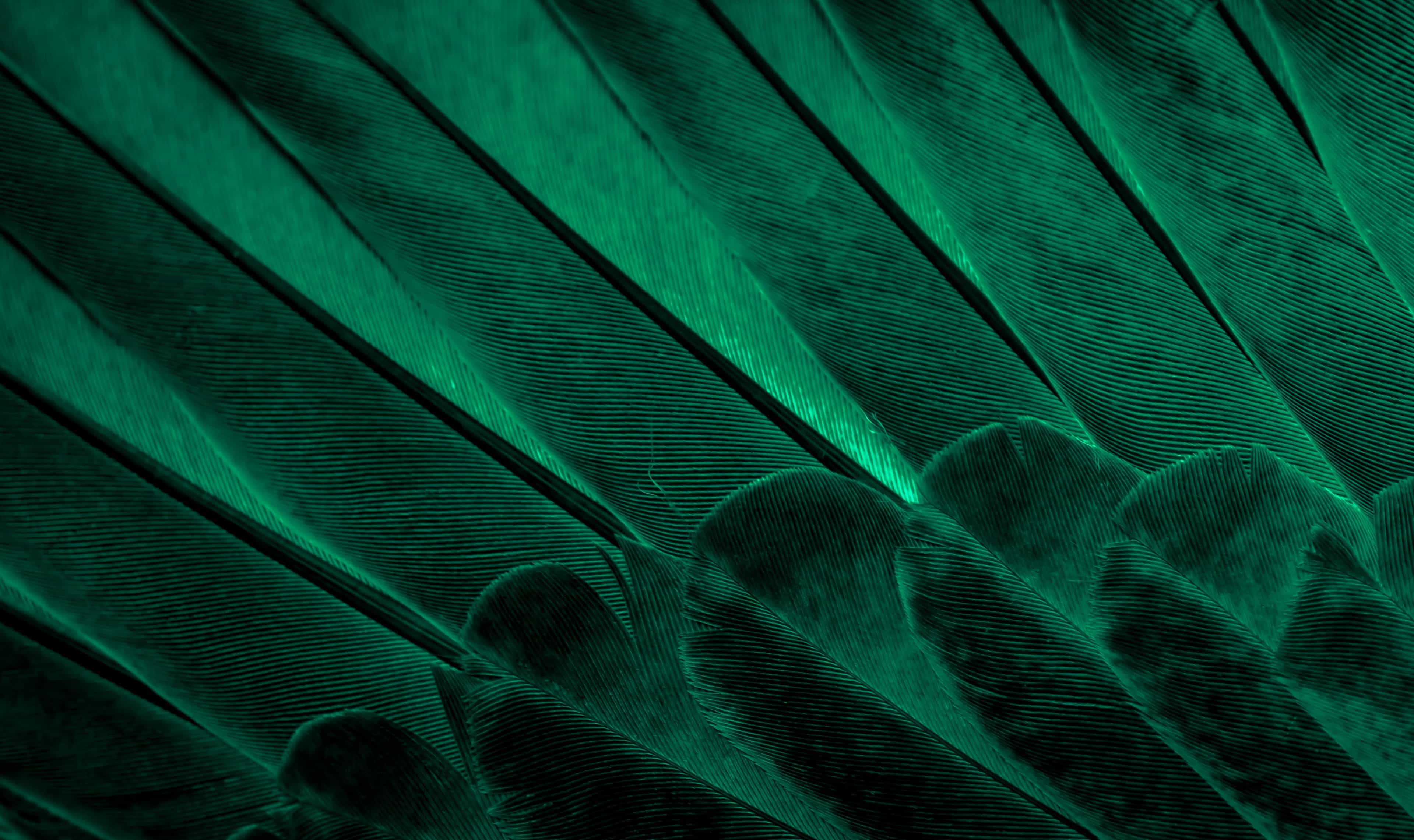 Hero background