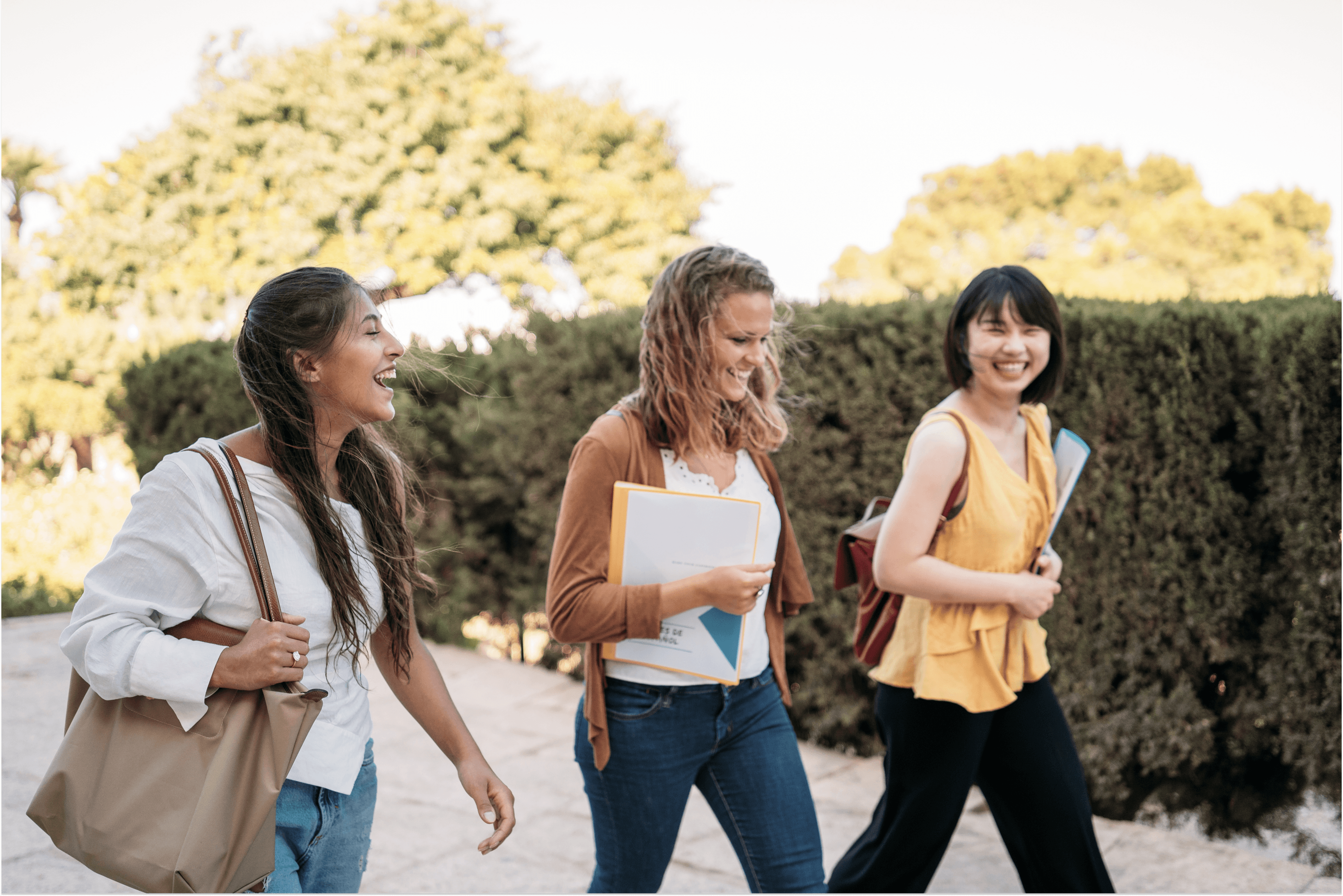 Accelerate graduate program image