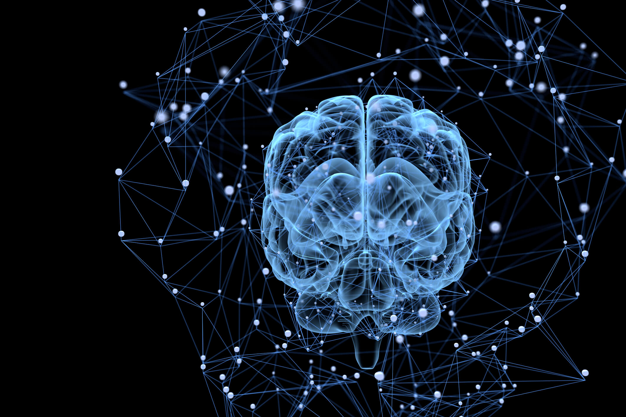 A brain