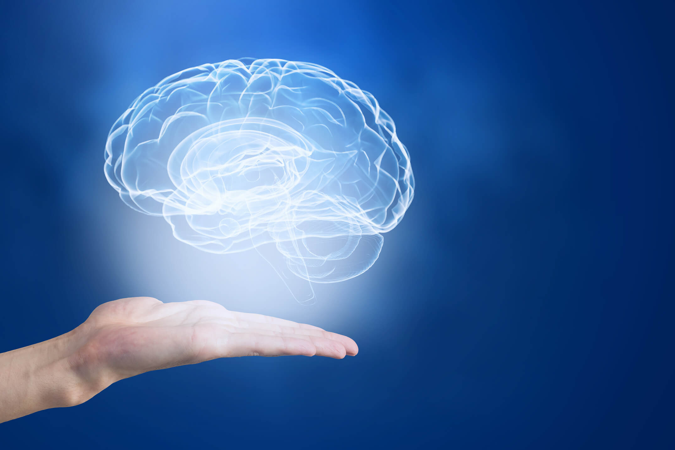 Close up of human hand holding brain